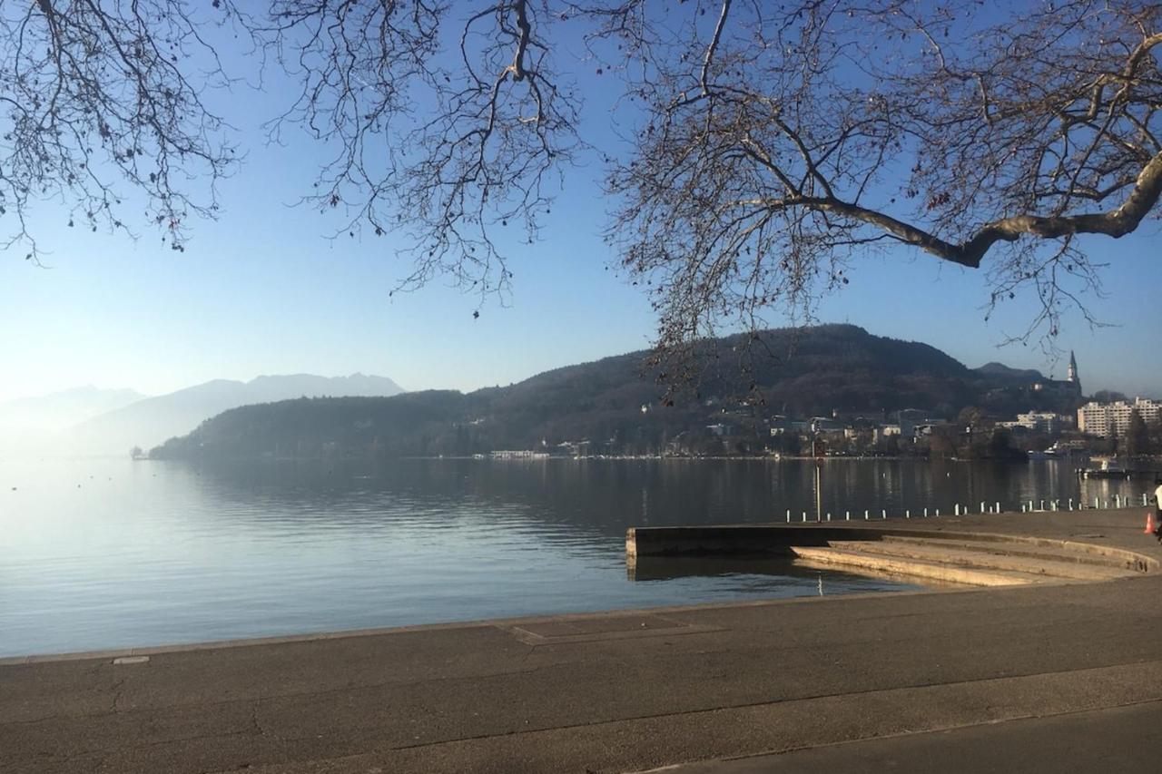 Annecy Center 2 Steps From The Lake Cozy And Renovated! Εξωτερικό φωτογραφία